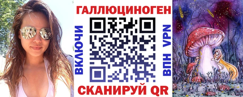 Галлюциногенные грибы Psilocybe  Сосновка 